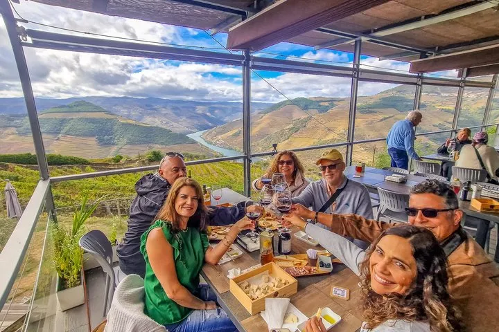 Douro Valley Private Day Trip from Lisbon: Vineyards & River View