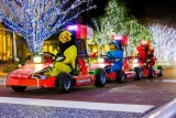 Official Street Go Kart Tour Akihabara 2nd