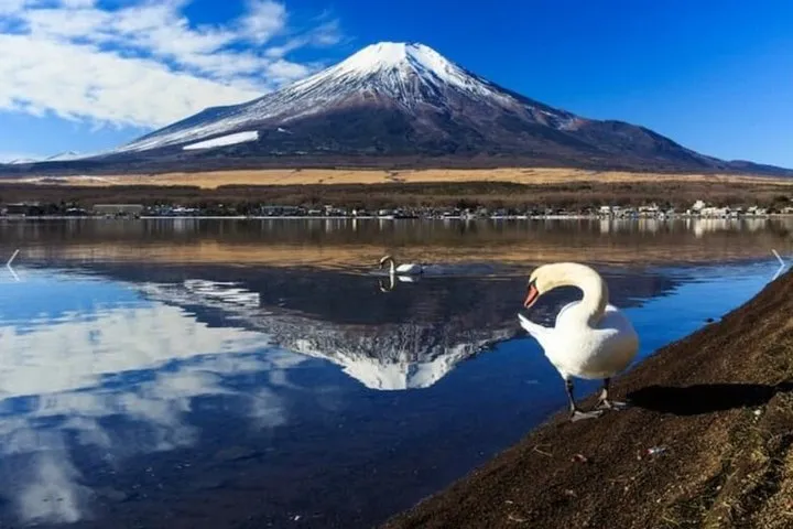 Private Fuji Tour: Lake Yamanakako, Gotemba Outlets & Onsen