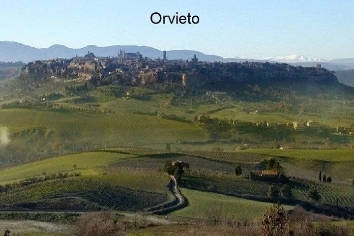 PRIVATE TRANSFER FROM FLORENCE TO ROME (or vice versa)