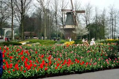 Private Day Trip to Haarlem and Keukenhof from Amsterdam