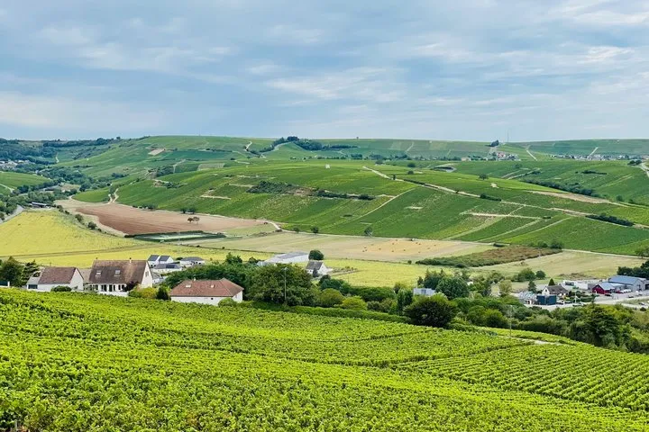 Paris Wine Day Tours exclusive Champagne tour incl. 3 visits