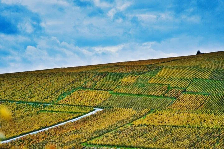 Paris Wine Day Tours - Chablis Wine tour - 3 Tastings with Lunch