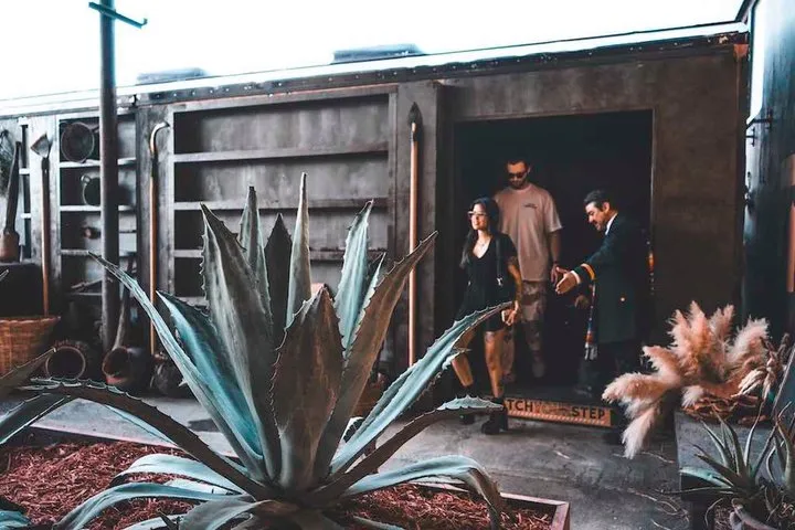 Immersive Agave Experience at Tequila Town Miami