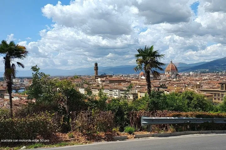 Florence Golf Cart Tour: Michelangelo and Panoramic Hills