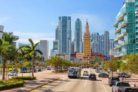 Best of Miami: City Tour, Bay Cruise and Everglades Airboat Ride