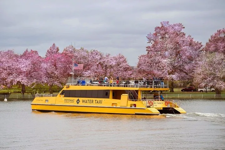 Unlimited Water Taxi Pass & Hop-on Hop-off Bus Tour with 18 Stops