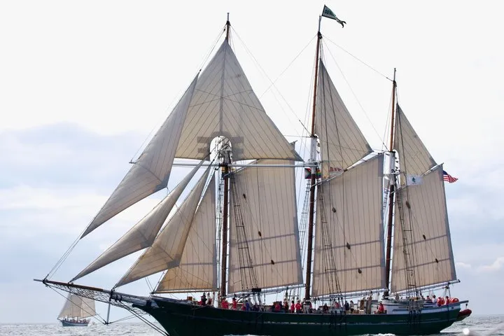 Harbor Sail Aboard the Tall Ship Denis Sullivan