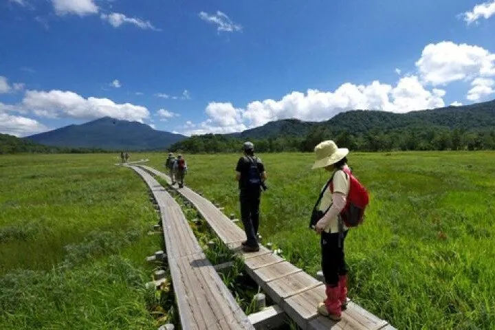 From Tokyo Day Trip Hiking Adventure in Oze National Park