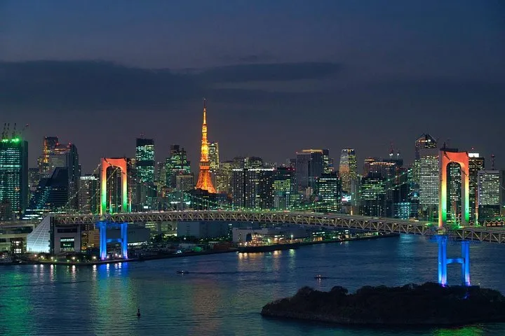 Tokyo at Night Private Driving Tour with Transfers and Dinner