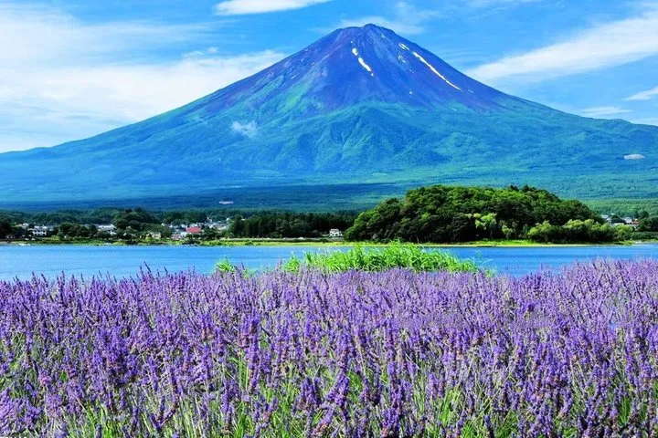 Mount Fuji Panoramic Ropeway and Lake Kawaguchi Day Trip