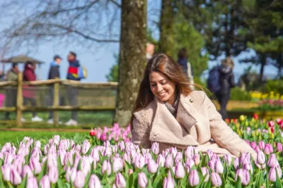 Amsterdam: Keukenhof Tulip Gardens and Giethoorn with Boat Tour