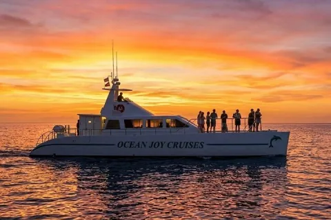 Premium Snorkel Sunset Cruise with Whale and Dolphin Watch