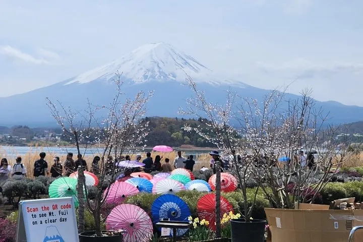 Private Tour of Mount Fuji with English speaking driver