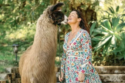 Alpaca Llama and Bunny Tea Parties