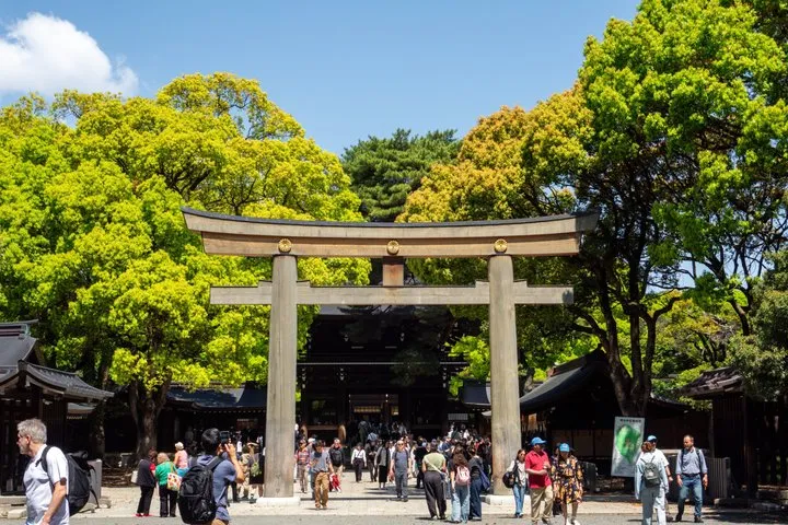 Tokyo Meiji Shrine and Shinto Culture Walking Tour