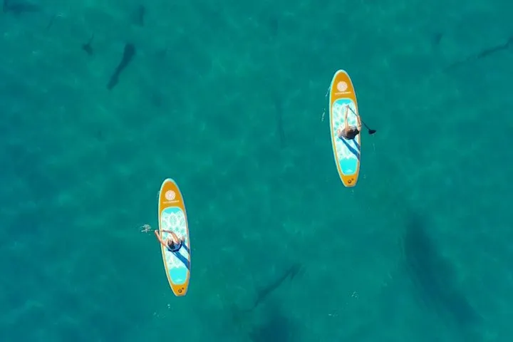 Emerald Cave Paddleboard Rentals Near Las Vegas at Willow Beach