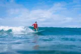 Family, Private & Group Surf Lessons w/ Waikiki Courtesy Shuttle