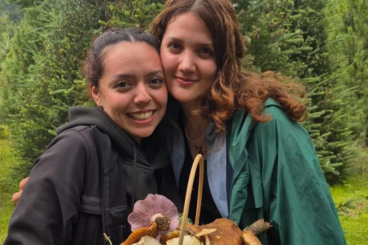 Experience in the Forest Mushroom harvesting in Monte Tláloc
