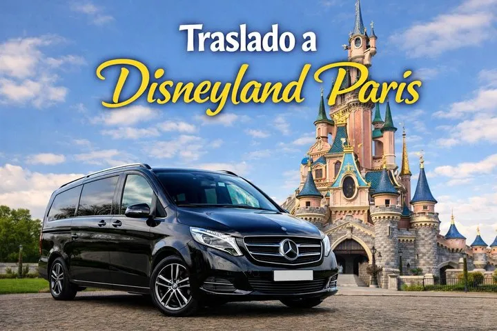 Private Transfer CDG Disneyland Paris Professional Driver