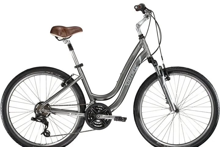 Reykjavik Bike Rental Experience