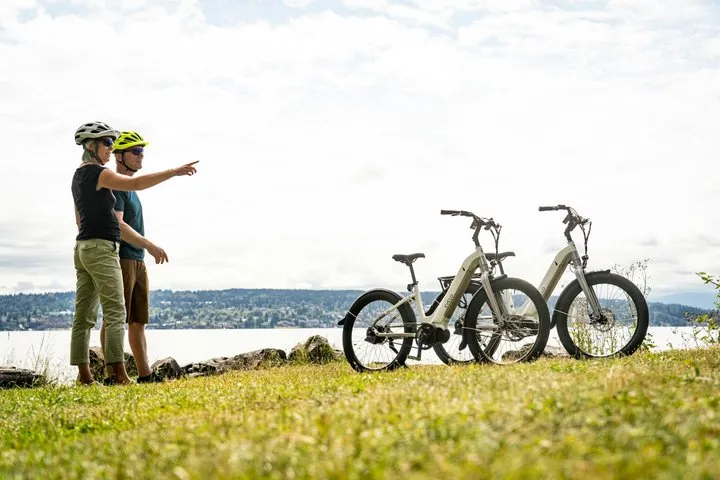 Private Tacoma Waterfront E-Bike Tour