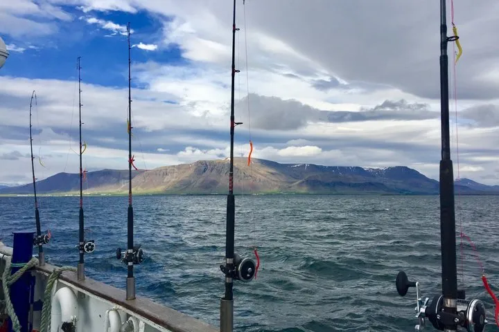 Sunset Fishing Excursion in Faxaflói Bay