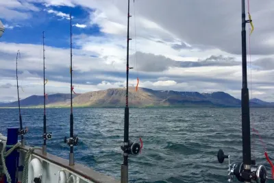 Sunset Fishing Excursion in Faxaflói Bay