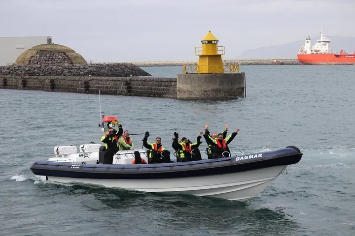 RIB Whale Expedition Speed Adventure