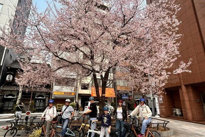 Tokyo Spring Flowering Gardens Tour with Gardener E-bike or Walk