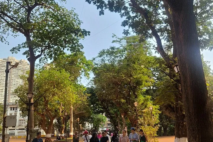 Grant Road Through the Eyes of a Local Cinema Politics and More