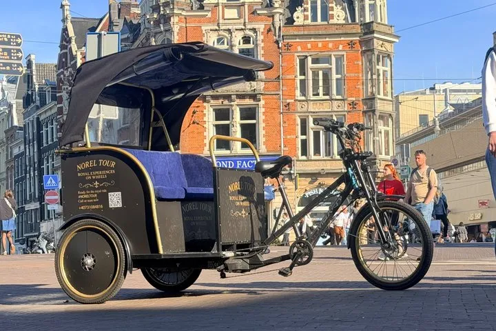 Royal Delft Blue City Tour