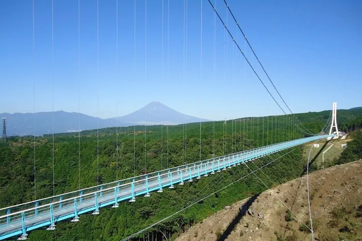 Mt Fuji from Mishima Skywalk and Izu Panorama Park, Seafood BBQ