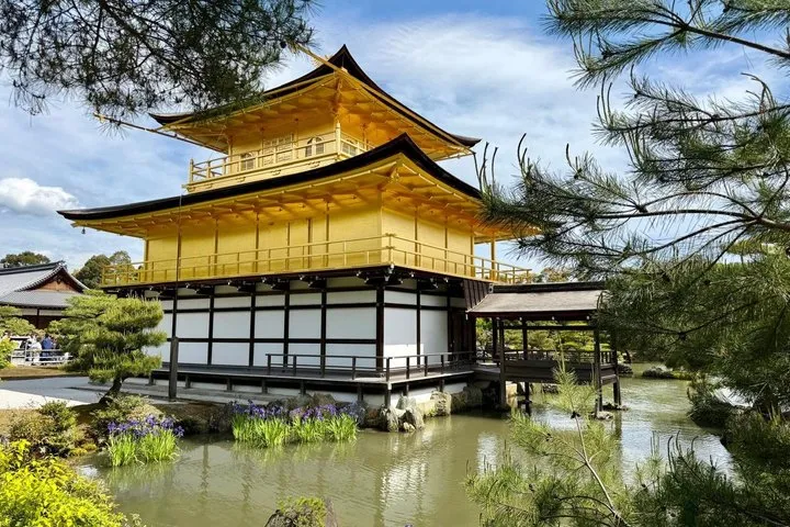 Kyoto/Osaka in 1 Day from Tokyo | See all important highlights