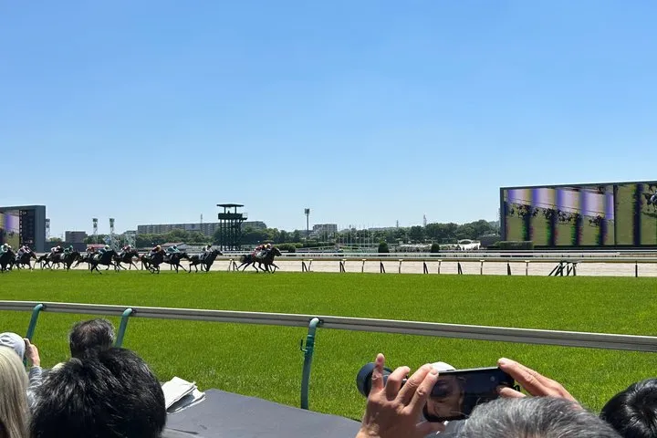 Tokyo Racecourse Private Experience with English Support
