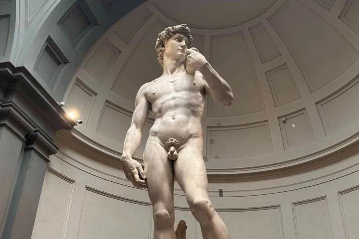 Accademia Gallery Entrance Ticket with Priority Access