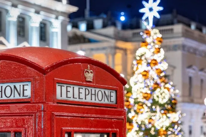 London Christmas Lights Private Tour for Groups