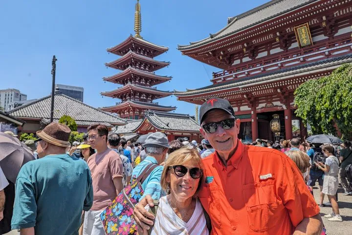 Tokyo Tour by Car & Narita Drop-Off with Licensed Guide