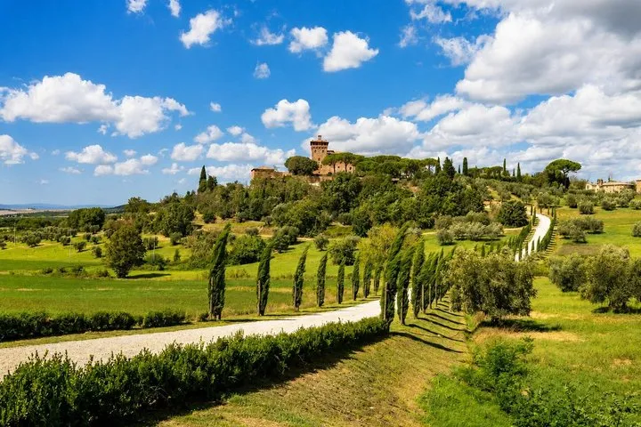 From Florence: Val d'Orcia, Montepulciano & Montalcino