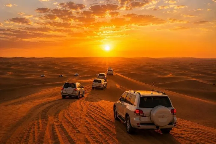 Private Desert Safari with BBQ Dinner
