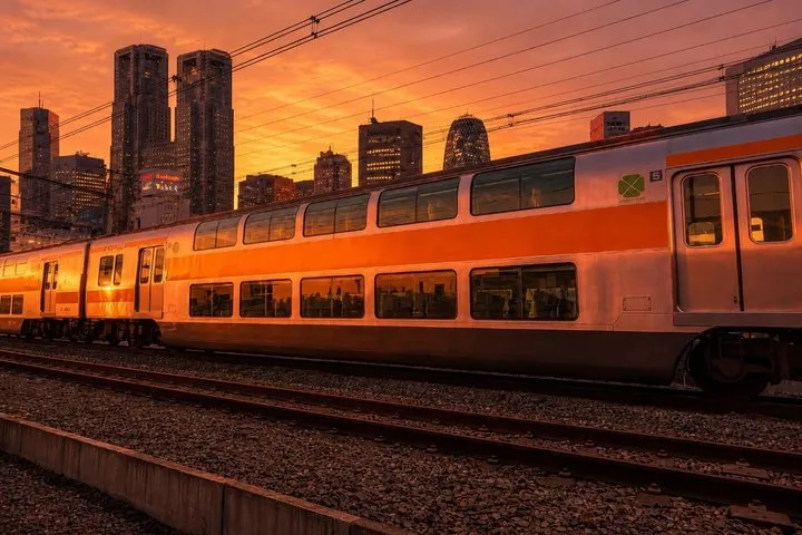 Private Bars & Dinner by Train from Shinjuku with Ex-JR Conductor