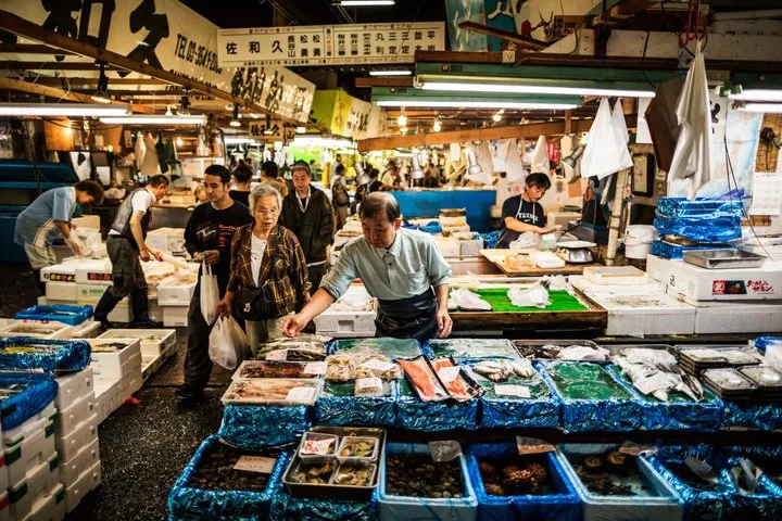 Tsukiji Fish Market Food Tour