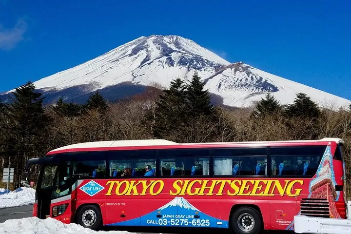 Japan Gray Line Private Customized Tour