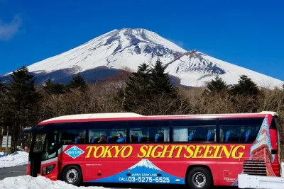 Japan Gray Line Private Customized Tour