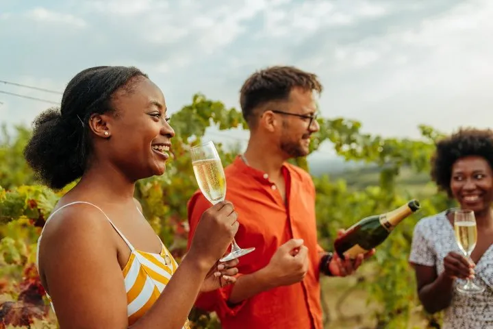 Private Champagne Day Trip - Two Vineyards of Reims & Lunch