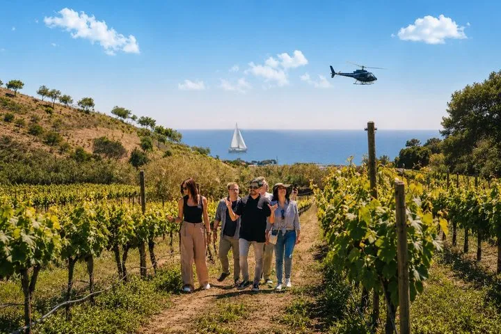 Barcelona Helicopter Flight, Winery Tour & Optional Sailing Trip