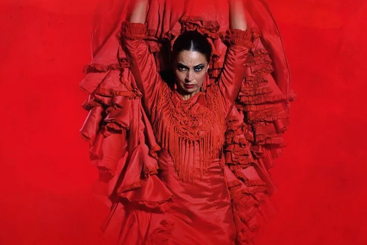 Teatro Flamenco Barcelona: Live the Flamenco Experience
