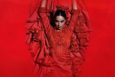 Teatro Flamenco Barcelona: Live the Flamenco Experience