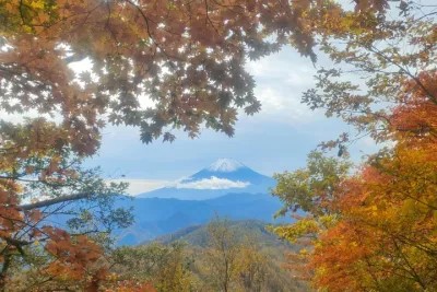 Tokyo Nature Escape Hiking Local Food and Onsen with a Local Host
