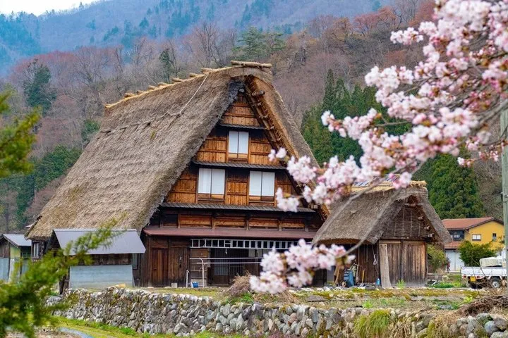 Shirakawago & Kanazawa from Tokyo by bullet train